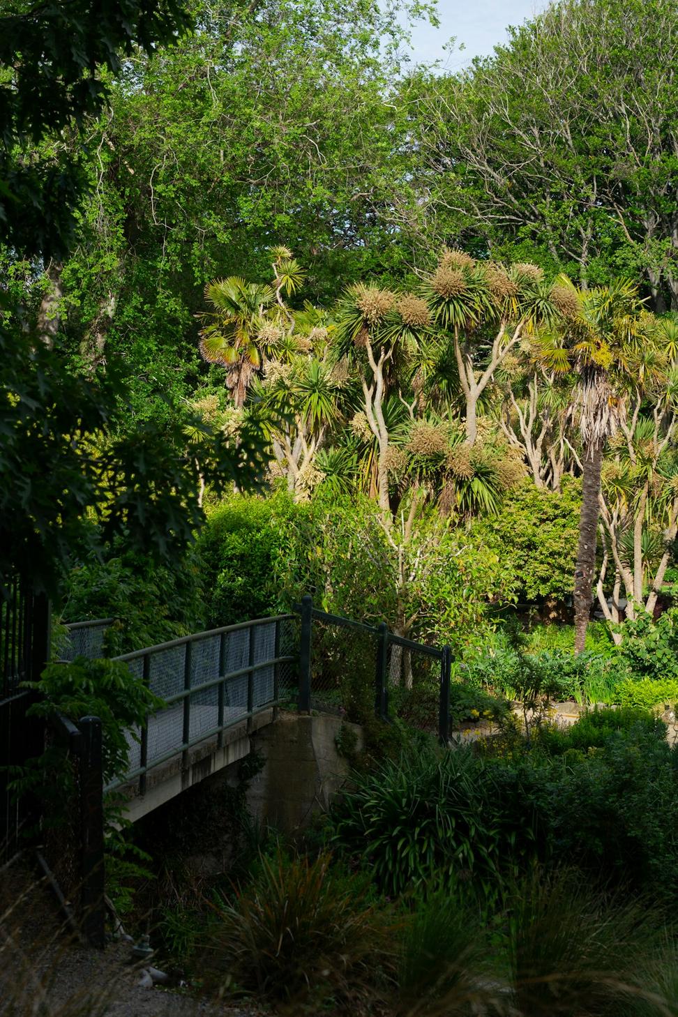 Native Species Garden
